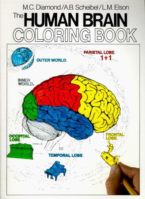 Cover: 9780064603065 | The Human Brain Coloring Book | A Coloring Book | Diamond (u. a.)