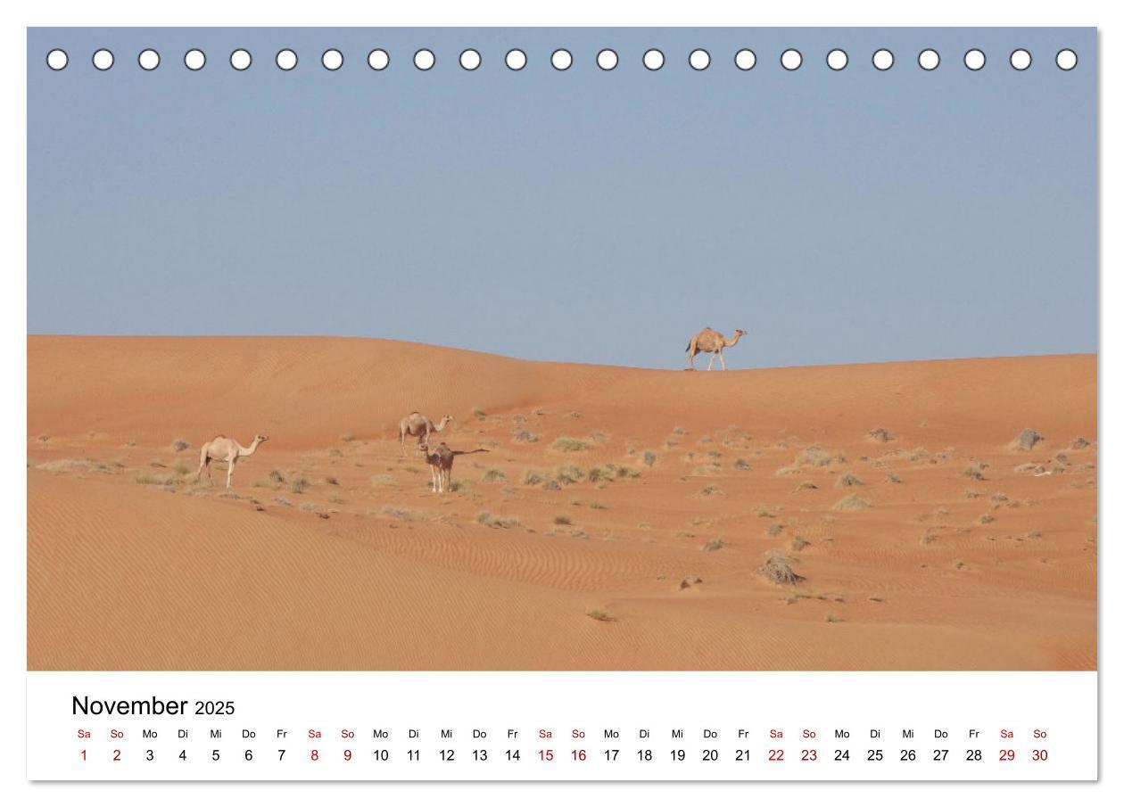 Bild: 9783435062720 | KAMELE... eine Reise durch den Oman. (Tischkalender 2025 DIN A5...