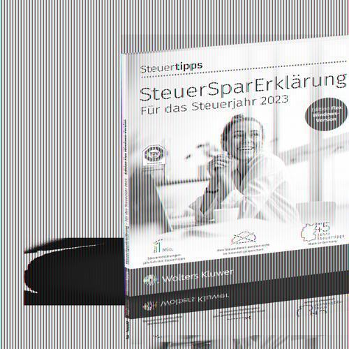 Cover: 9783965333376 | SteuerSparErklärung flex 2024 (Code in a Box) | DVD-ROM | Deutsch