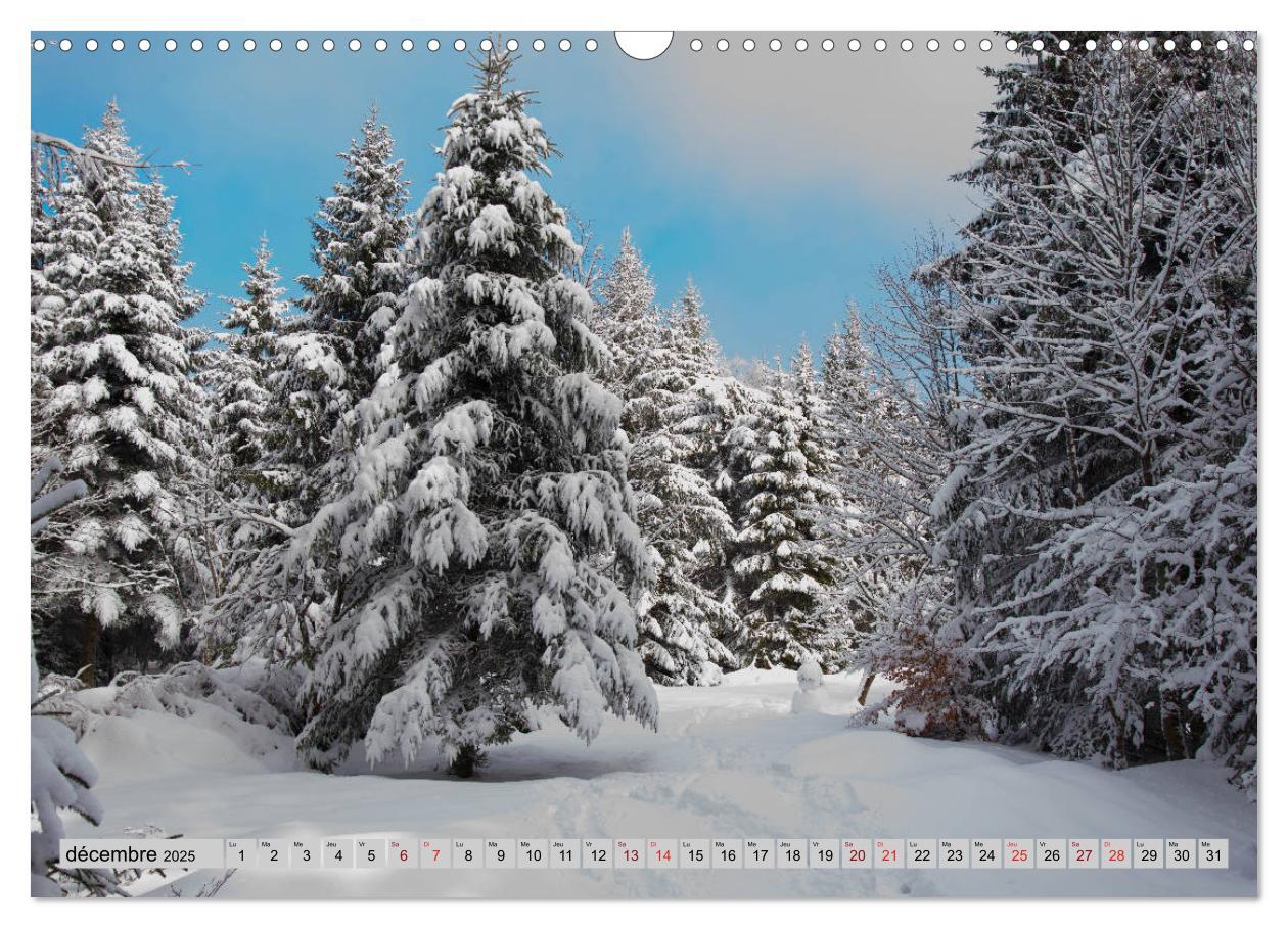 Bild: 9781325937813 | Splendeurs des Vosges (Calendrier mural 2025 DIN A3 vertical),...