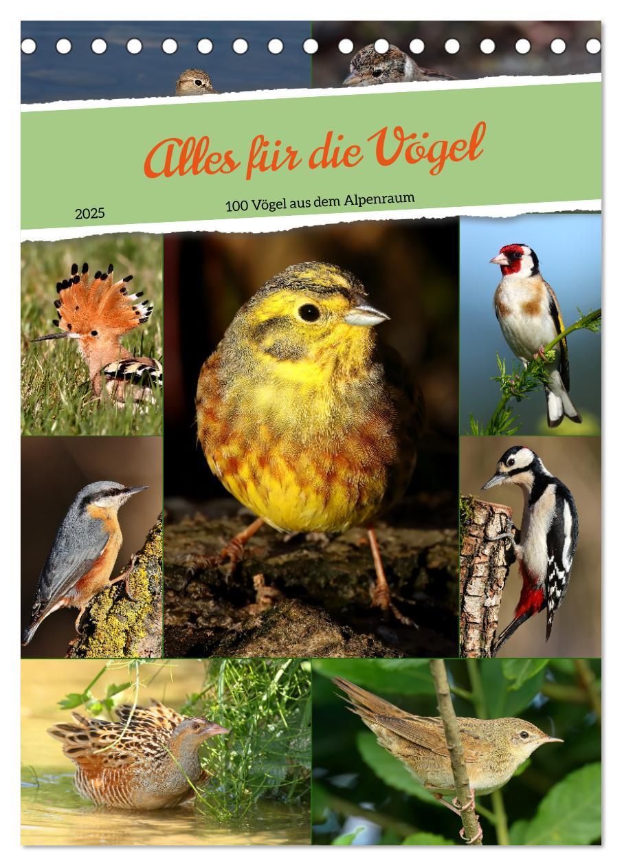 Cover: 9783435854387 | Alles für die Vögel (Tischkalender 2025 DIN A5 hoch), CALVENDO...