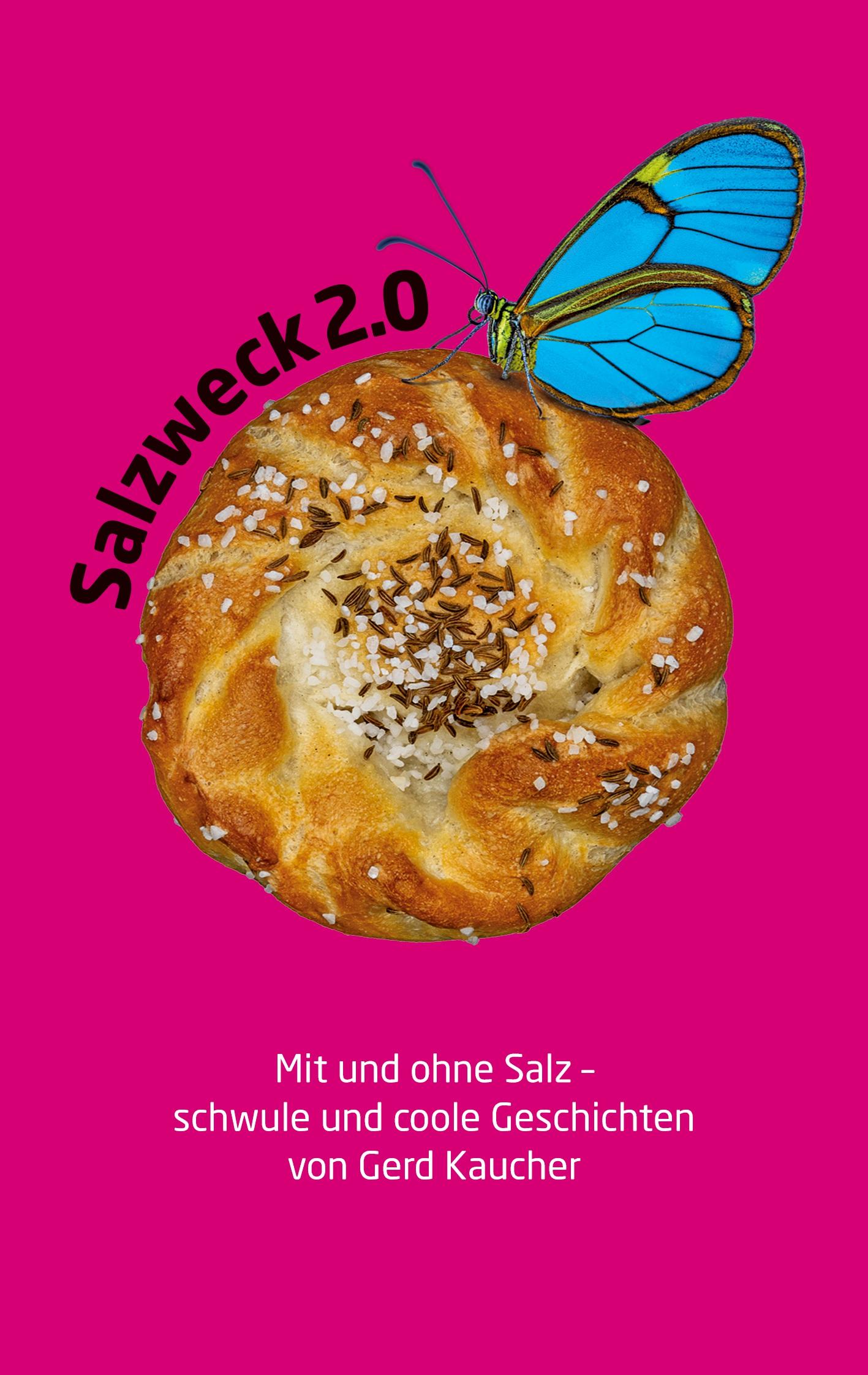 Cover: 9783769310467 | Salzweck 2.0 | Schwule Geschichten | Gerd Kaucher | Taschenbuch | 2024