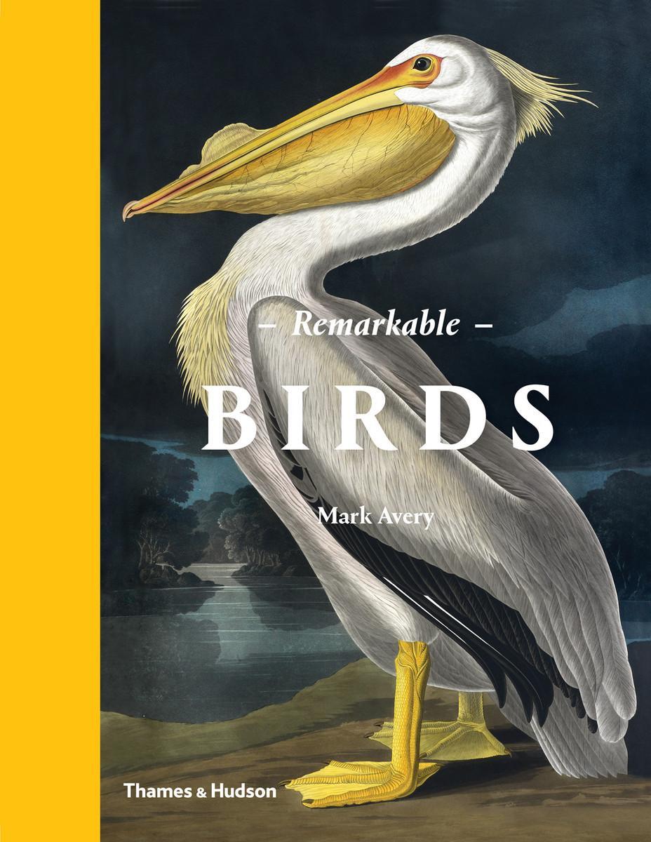 Cover: 9780500518533 | Remarkable Birds | The Beauty and Wonder of the Avian World | Avery