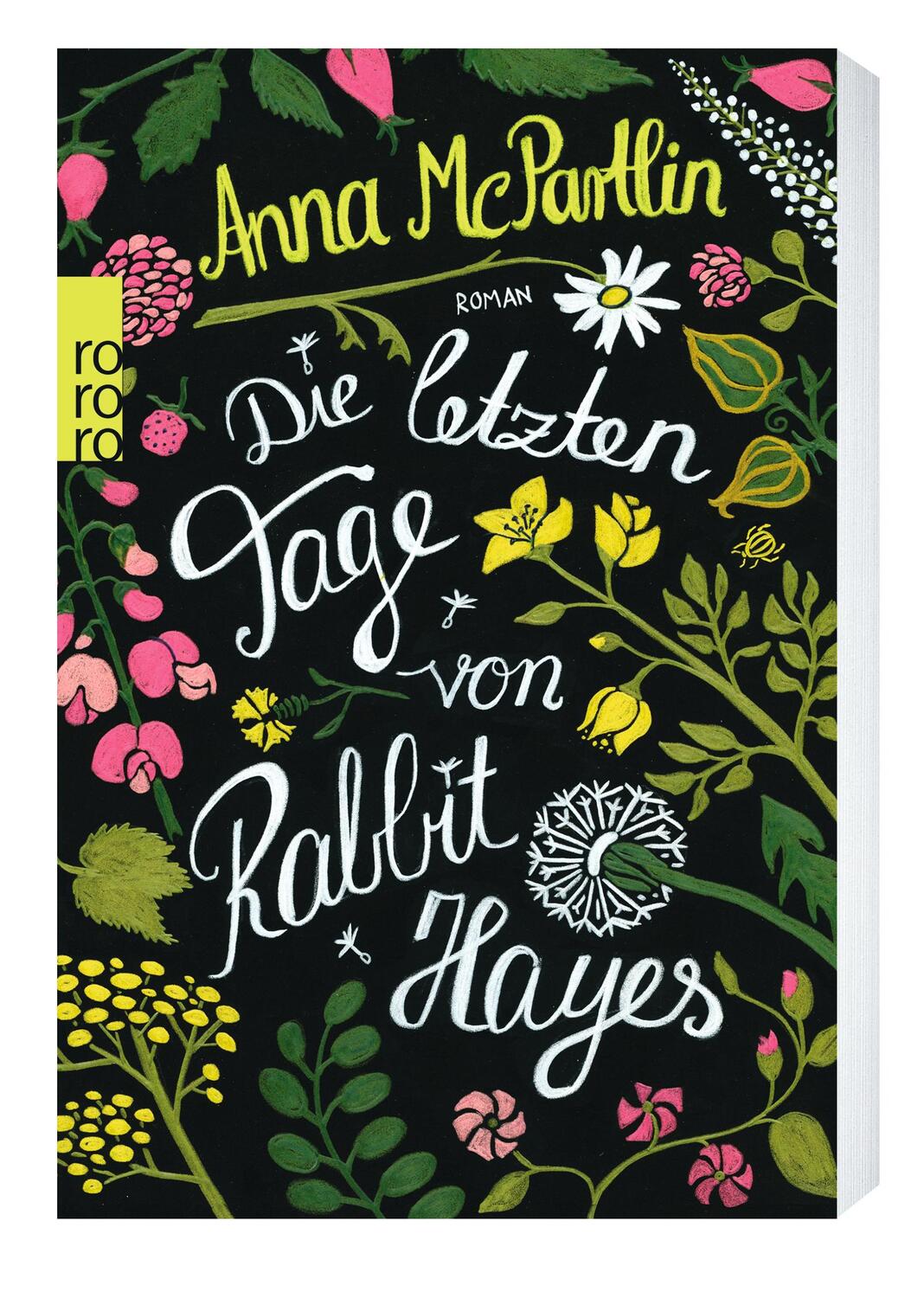 Cover: 9783499269226 | Die letzten Tage von Rabbit Hayes | Anna McPartlin | Taschenbuch