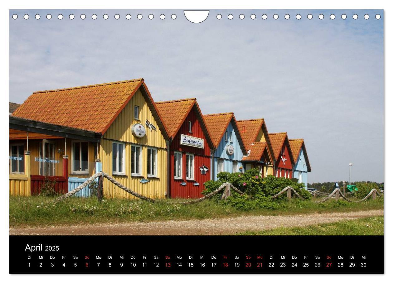 Bild: 9783435788378 | Die Insel Amrum (Wandkalender 2025 DIN A4 quer), CALVENDO...