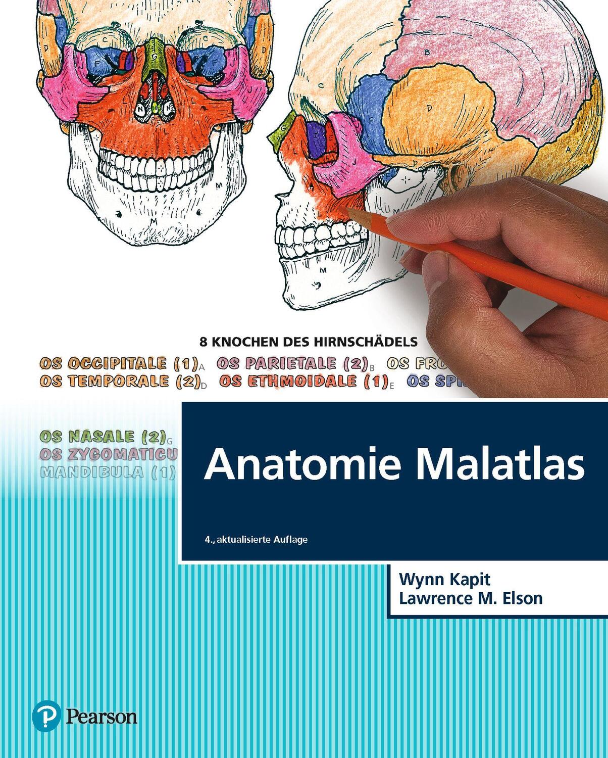 Cover: 9783868944396 | Anatomie Malatlas | Wynn Kapit (u. a.) | Taschenbuch | 384 S. | 2022