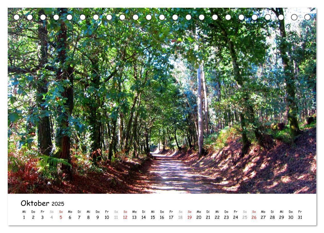 Bild: 9783435557042 | Camino Portugues - Jakobsweg (Tischkalender 2025 DIN A5 quer),...