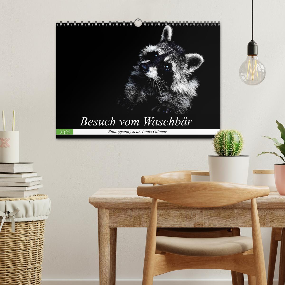 Bild: 9783435229178 | Besuch vom Waschbär (Wandkalender 2025 DIN A3 quer), CALVENDO...