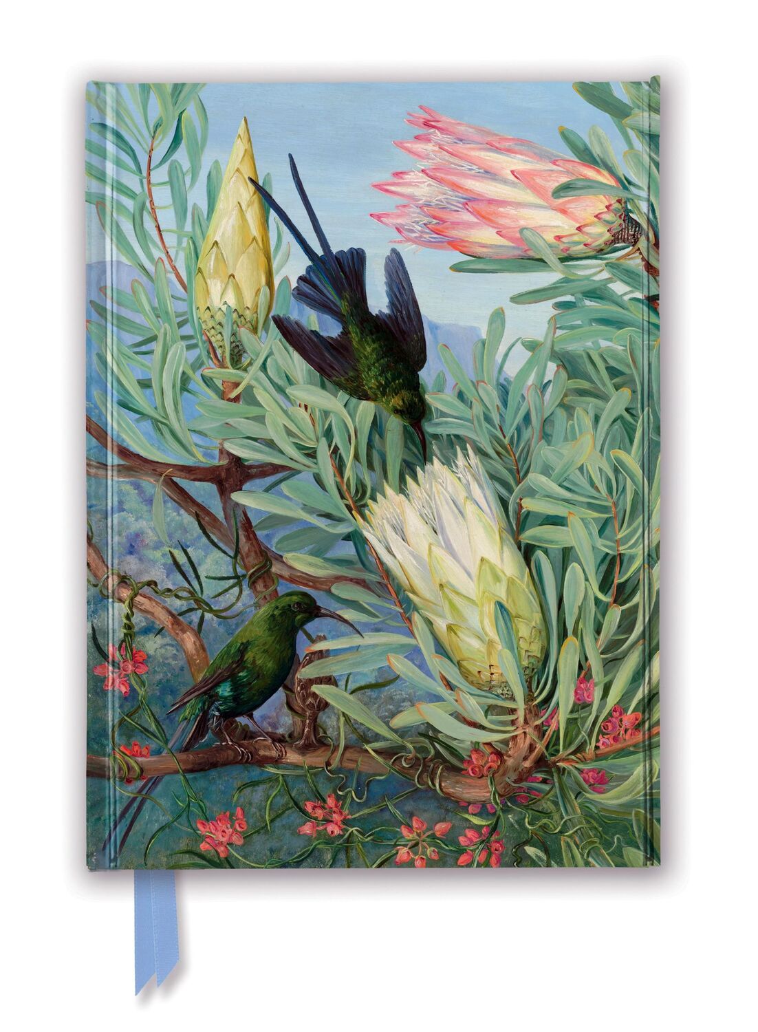 Cover: 9781787558069 | Kew Gardens' Marianne North: Honeyflowers and Honeysuckers (Foiled...