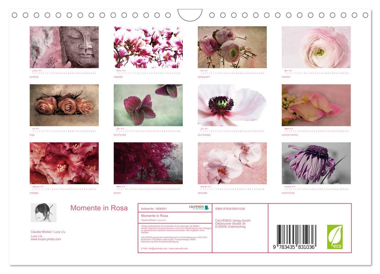 Bild: 9783435831036 | Momente in Rosa (Wandkalender 2025 DIN A4 quer), CALVENDO...