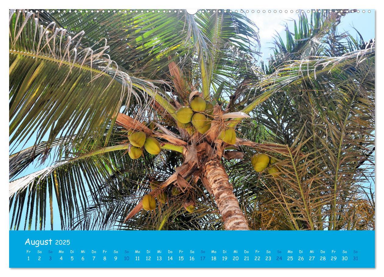 Bild: 9783435244485 | Cabo verde Inselgeflüster - Ilha do Sal (Wandkalender 2025 DIN A2...