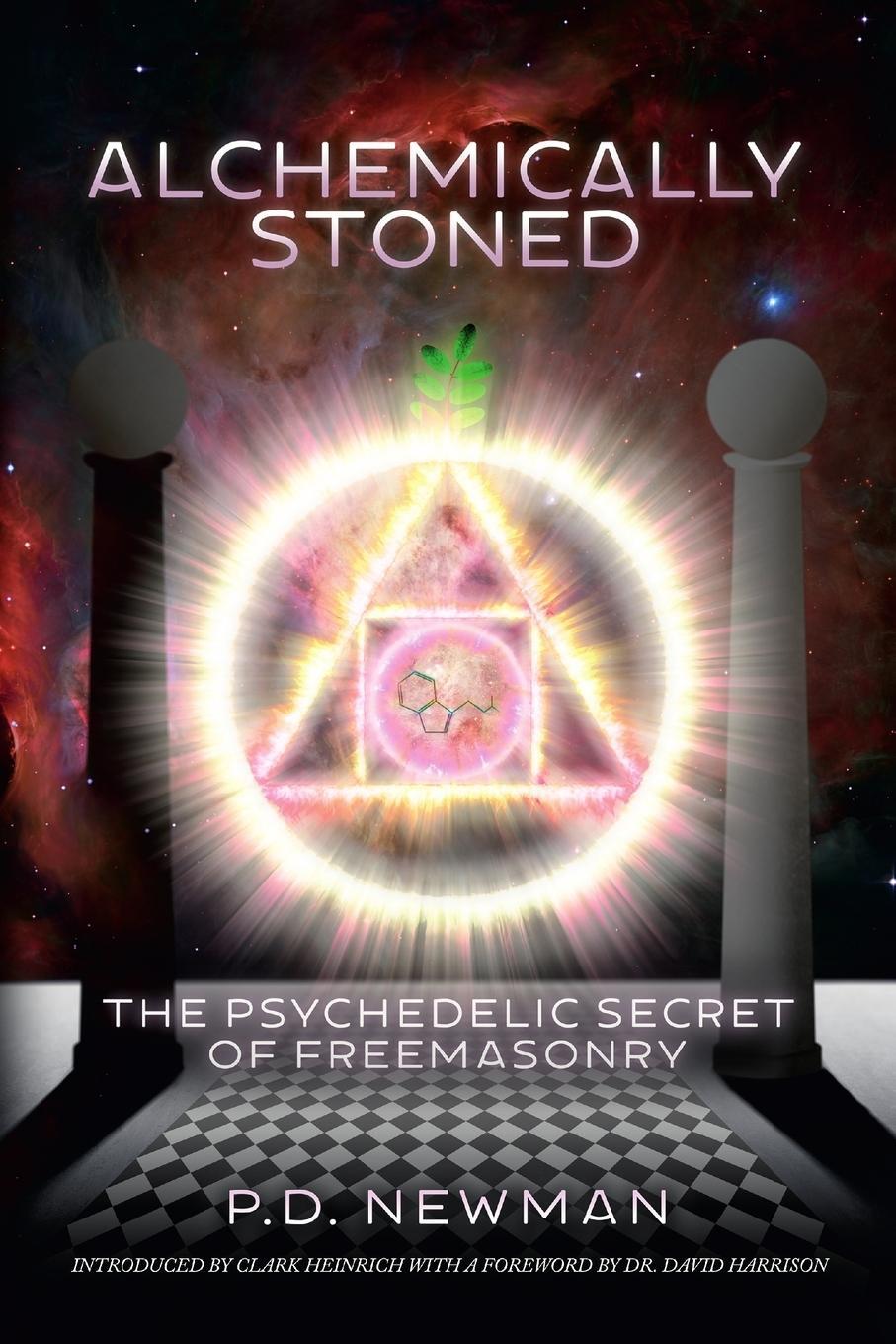Cover: 9780578194004 | Alchemically Stoned - The Psychedelic Secret of Freemasonry | Newman