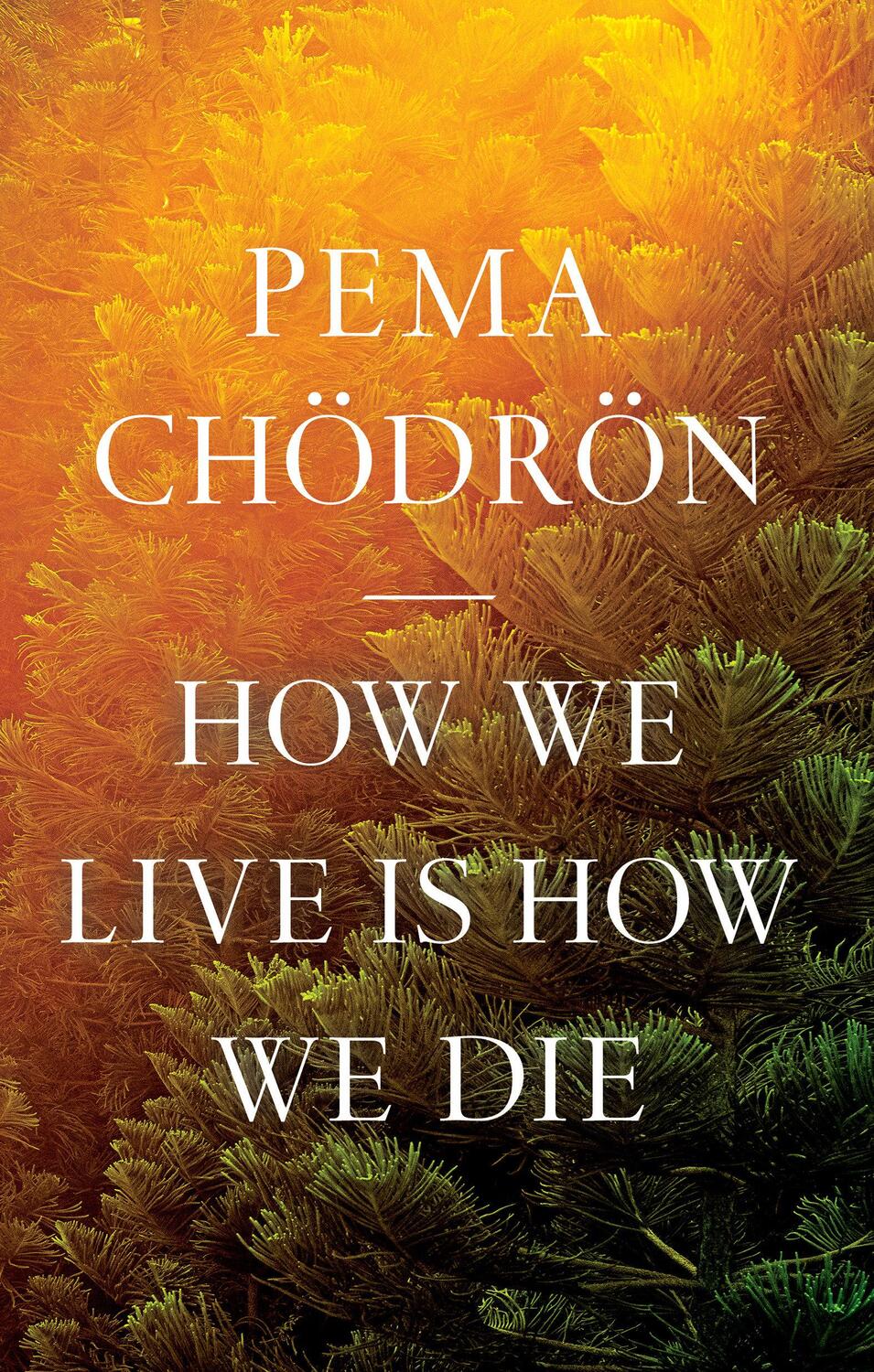 Cover: 9781645472407 | How We Live Is How We Die | Pema Chödrön | Taschenbuch | Englisch