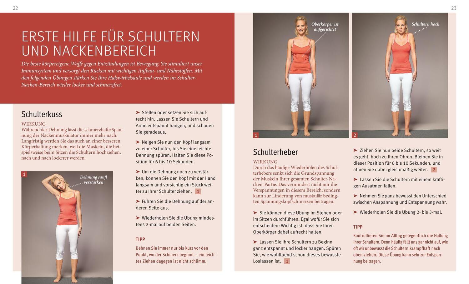 Bild: 9783833846267 | Rücken-Akut-Training (mit DVD) | Ingo Froböse | Taschenbuch | 80 S.