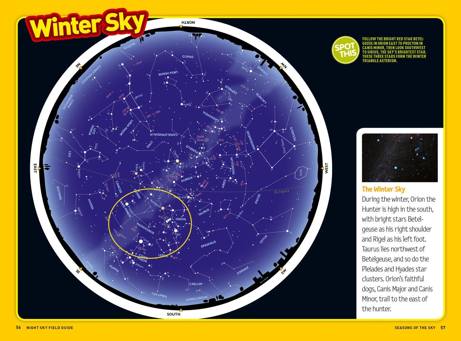 Bild: 9780008321536 | Ultimate Explorer Field Guides Night Sky | National Geographic Kids