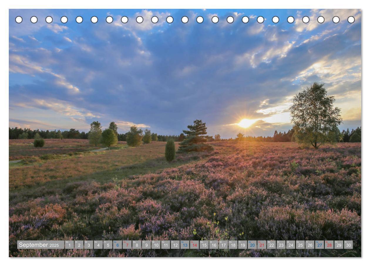 Bild: 9783435457632 | Lüneburger Heide - Faszinierend schön (Tischkalender 2025 DIN A5...