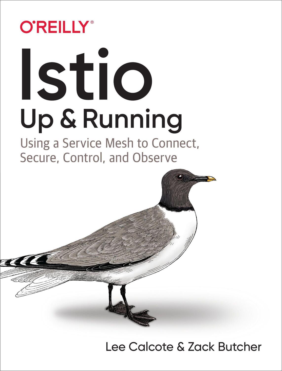 Cover: 9781492043782 | Istio: Up and Running: Using a Service Mesh to Connect, Secure,...
