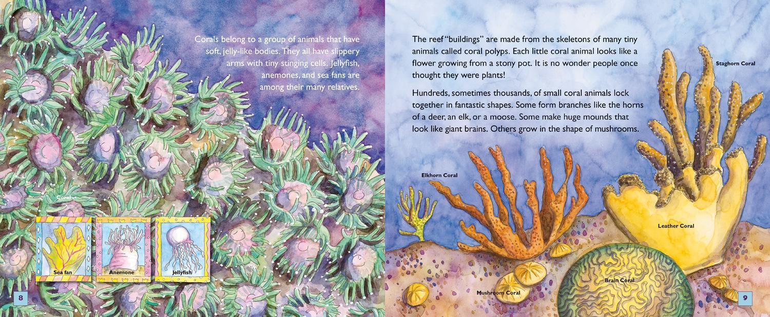 Bild: 9781426323645 | Jump Into Science: Coral Reefs | Sylvia A. Earle | Taschenbuch | 2016