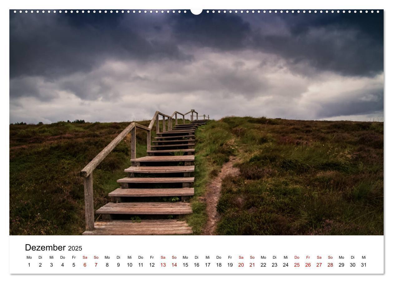 Bild: 9783435442805 | Ein Sommer auf Sylt (Wandkalender 2025 DIN A2 quer), CALVENDO...