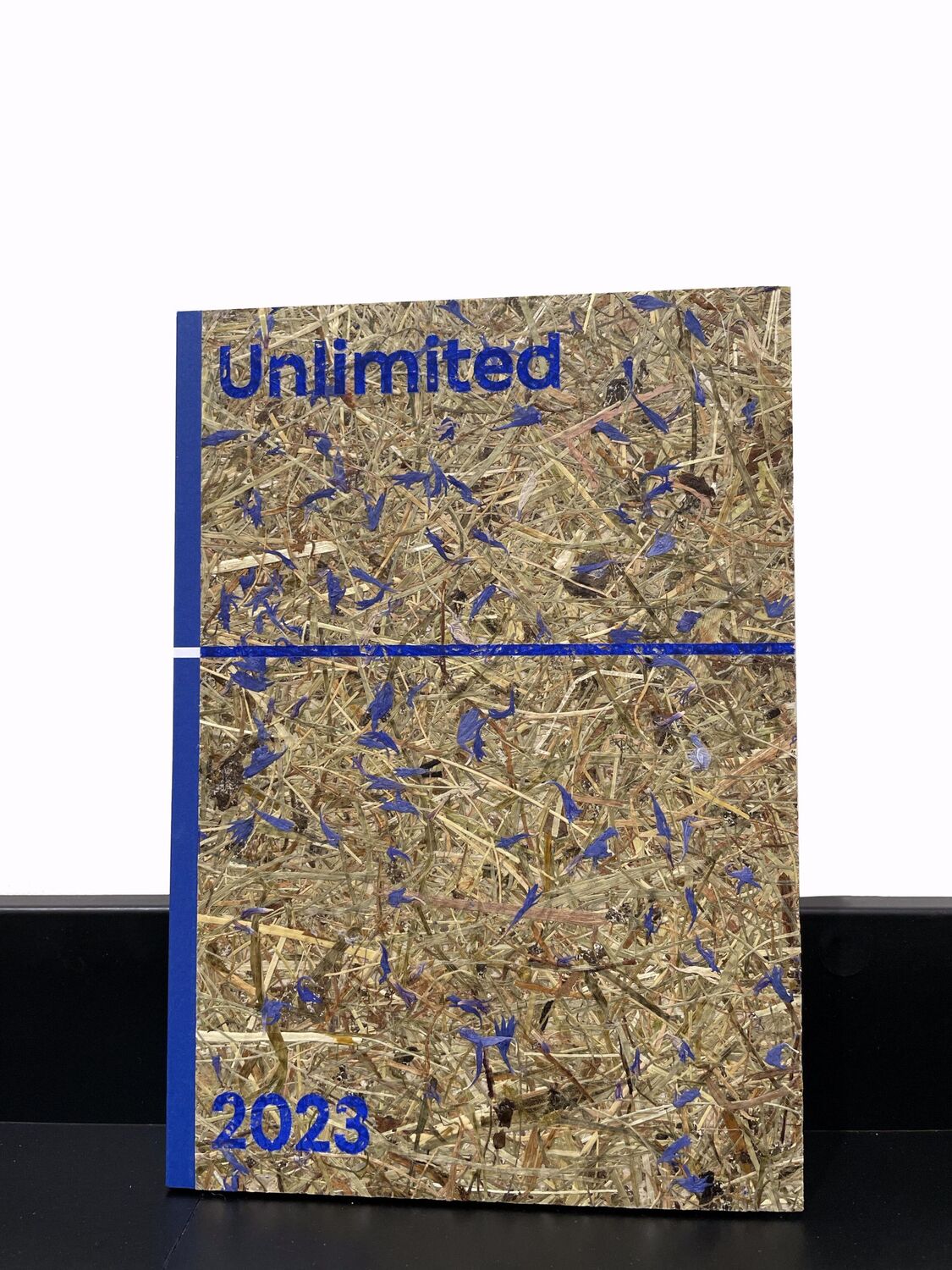 Bild: 9783775755047 | Unlimited | Art Basel Unlimited 2023 | Art Basel | Taschenbuch | 2023