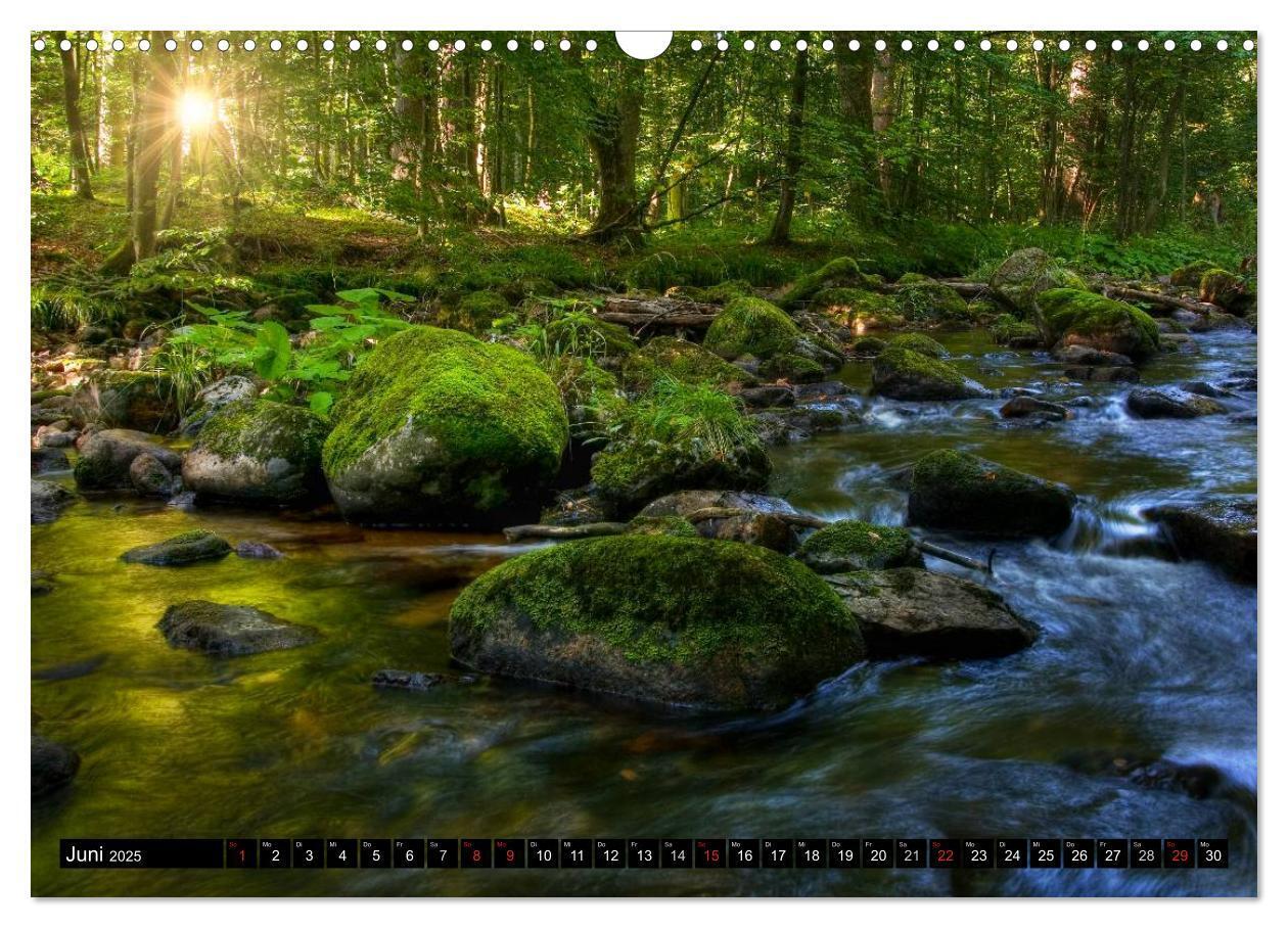 Bild: 9783435789573 | Harz Landschaften (Wandkalender 2025 DIN A3 quer), CALVENDO...