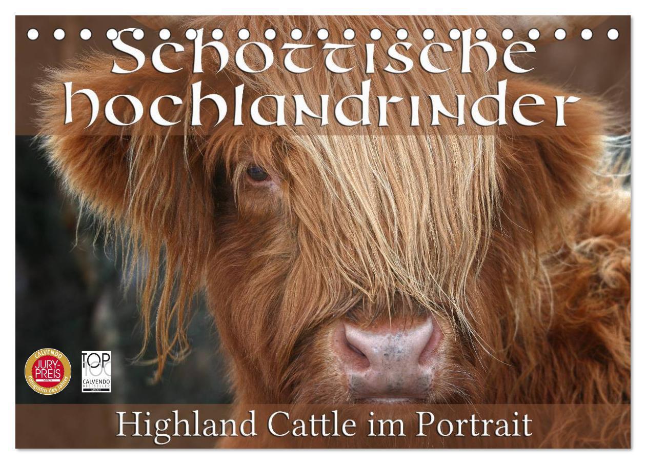Cover: 9783435709007 | Schottische Hochlandrinder - Highland Cattle im Portrait...