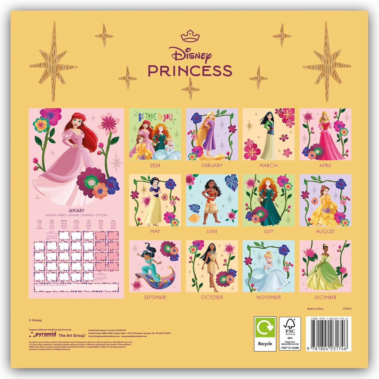 Rückseite: 9781804231746 | Disney Princess 2025 30X30 Broschürenkalender | Kalender | 28 S.