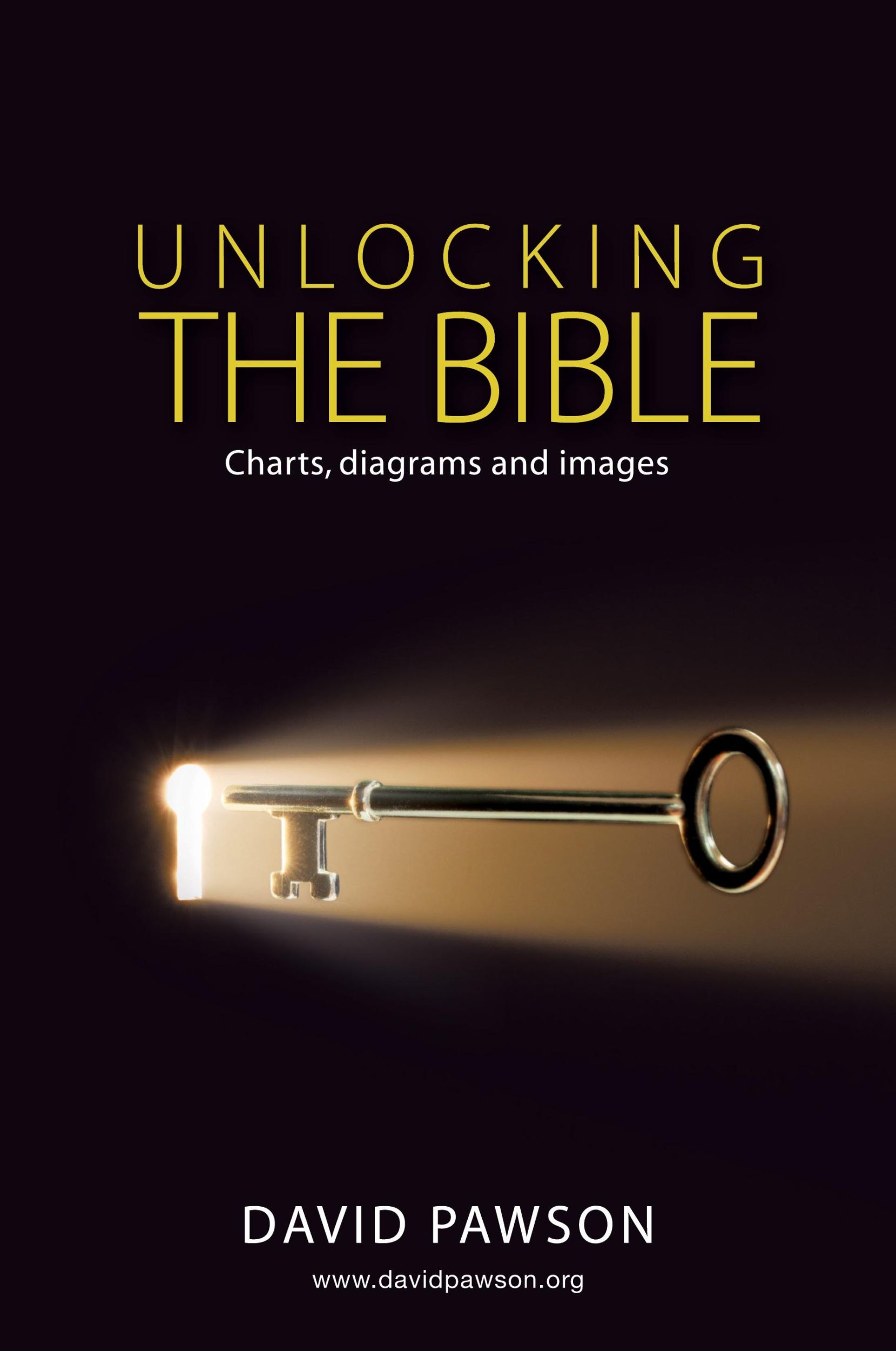 Cover: 9781911173175 | UNLOCKING THE BIBLE Charts, diagrams and images | David Pawson | Buch