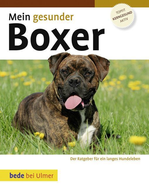 Cover: 9783800167791 | Mein gesunder Boxer | Lowell Ackerman | Buch | 2010