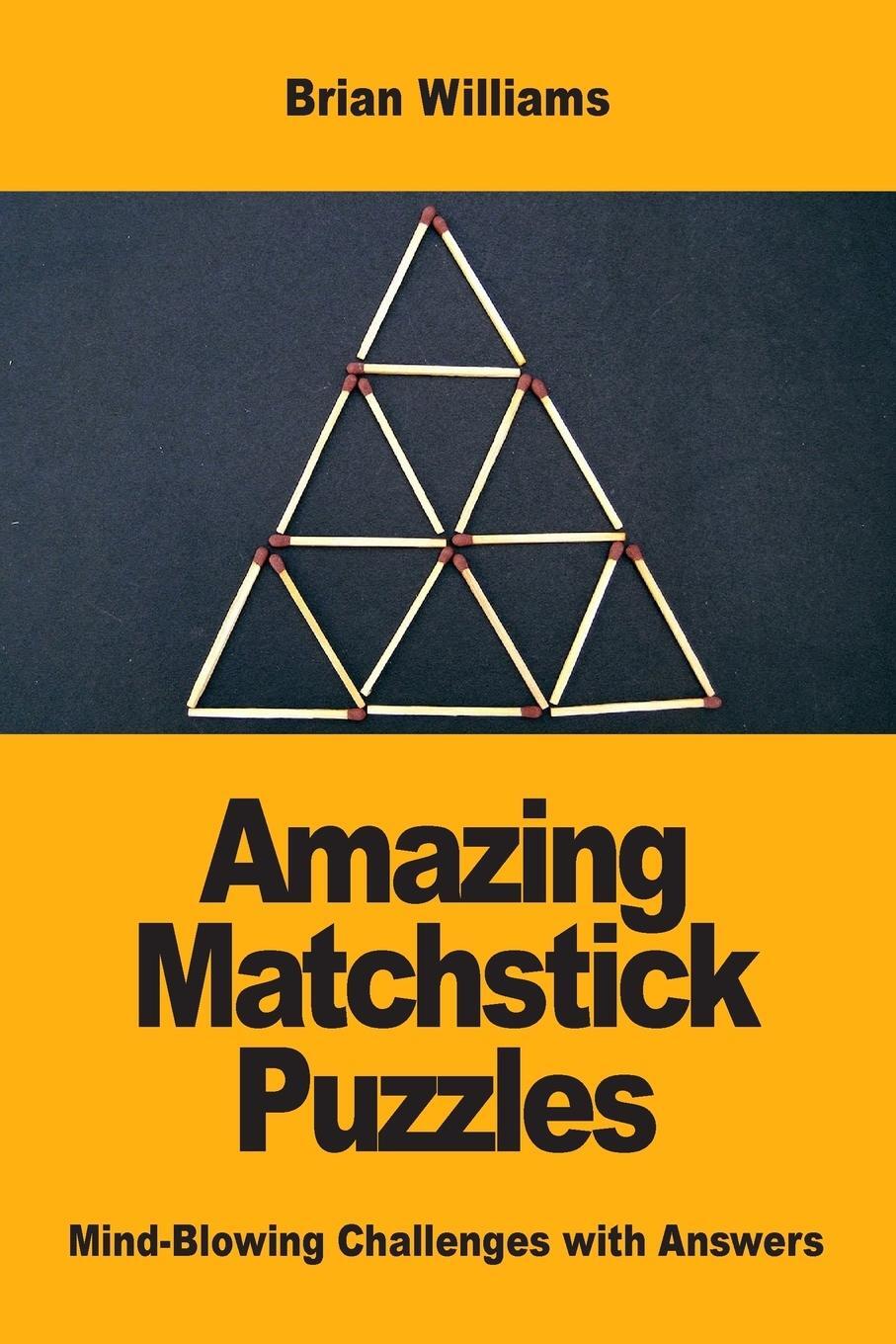 Cover: 9782917260661 | Amazing Matchstick Puzzles | Mind-Blowing Challenges with Answers