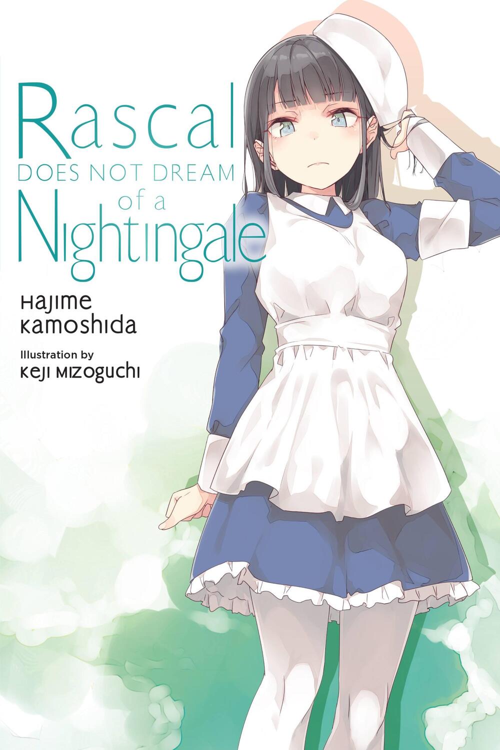 Cover: 9781975343507 | Rascal Does Not Dream, Vol. 11 (light novel) | Hajime Kamoshida | Buch