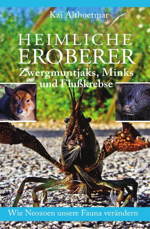 Cover: 9783748522102 | Heimliche Eroberer | Kai Althoetmar | Taschenbuch | epubli