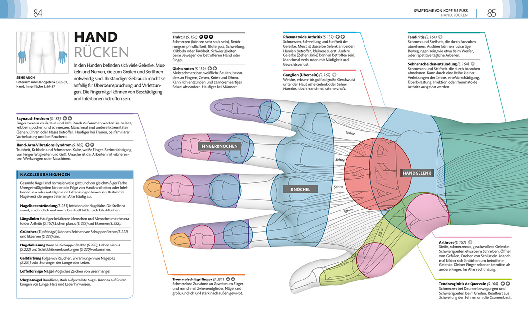 Bild: 9783831036172 | Praxisbuch Selbstdiagnose | DK Verlag | Taschenbuch | Deutsch | 2018