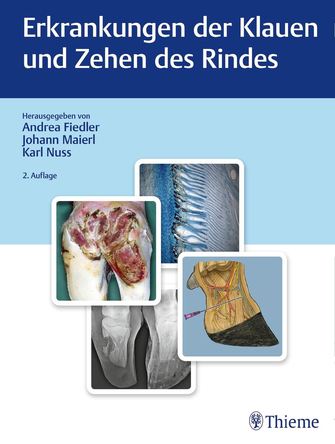 Cover: 9783132422896 | Erkrankungen der Klauen und Zehen des Rindes | Andrea Fiedler (u. a.)