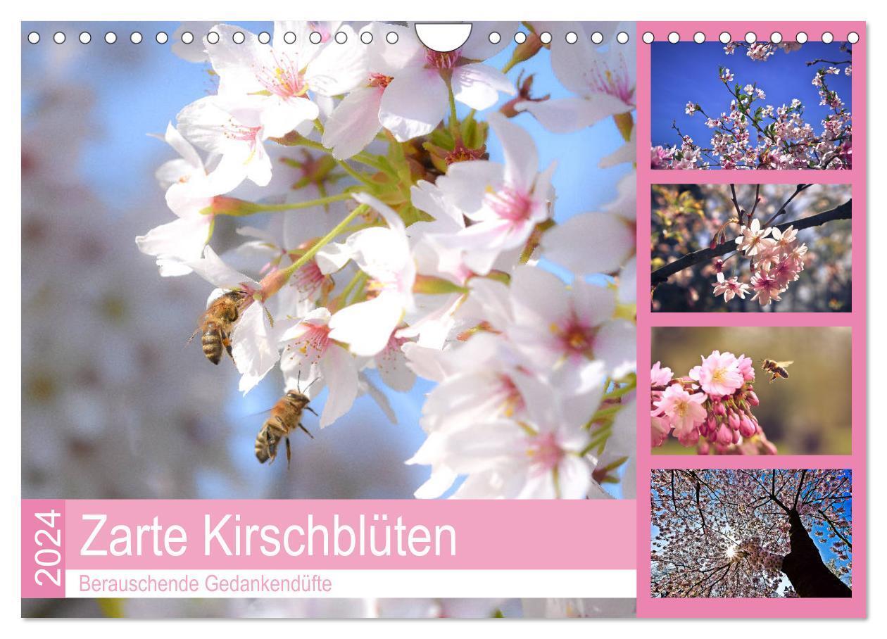 Cover: 9783383191015 | Zarte Kirschblüten - Berauschende Gedankendüfte (Wandkalender 2024...