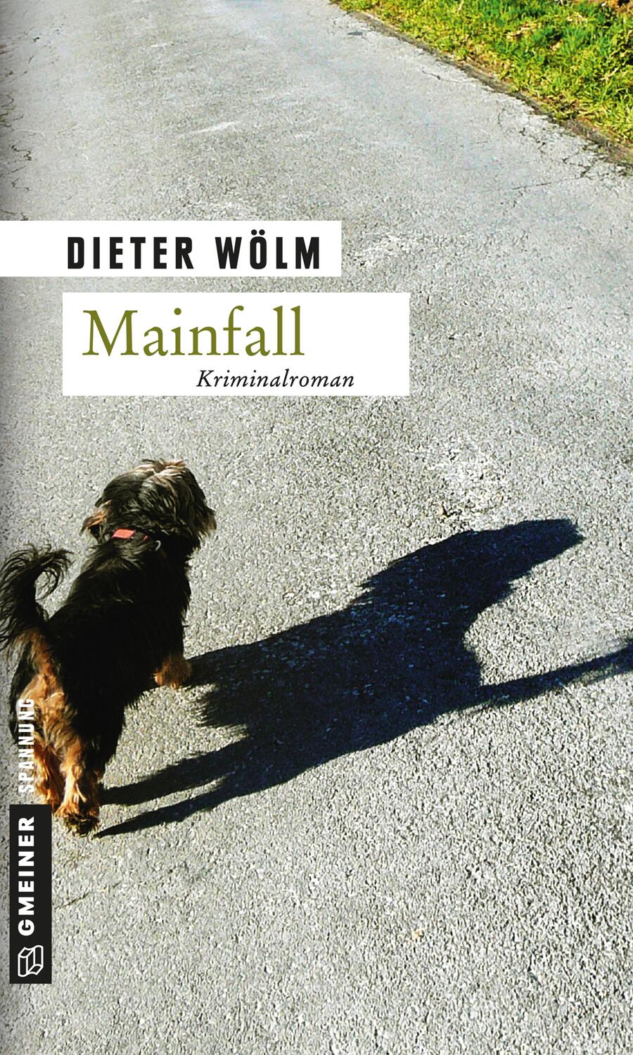 Cover: 9783839211250 | Mainfall | Dieter Wölm | Taschenbuch | Kommissar Rotfux | Deutsch