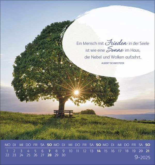 Bild: 9783731876762 | Genieße jeden Augenblick 2025 | aufstellbarer Postkartenkalender