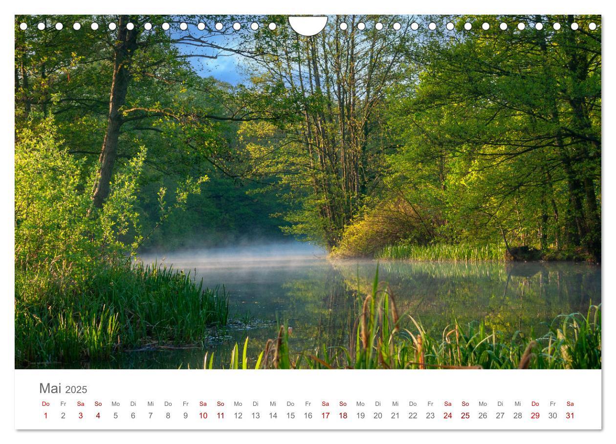 Bild: 9783457198599 | Spreewald - Ein Naturparadies (Wandkalender 2025 DIN A4 quer),...