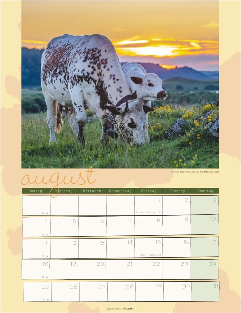 Bild: 9783839900734 | Kuh Kalender 2025 | Marie-Luce Hubert (u. a.) | Kalender | 14 S.