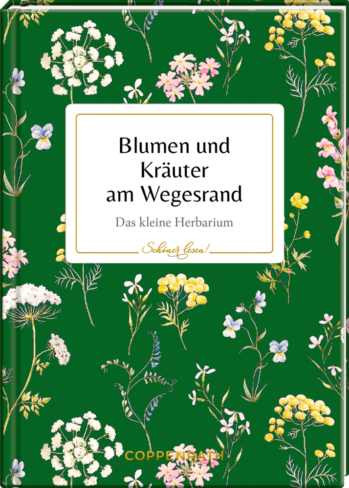 Cover: 9783649636779 | Blumen und Kräuter am Wegesrand | Das kleine Herbarium | Buch | 48 S.