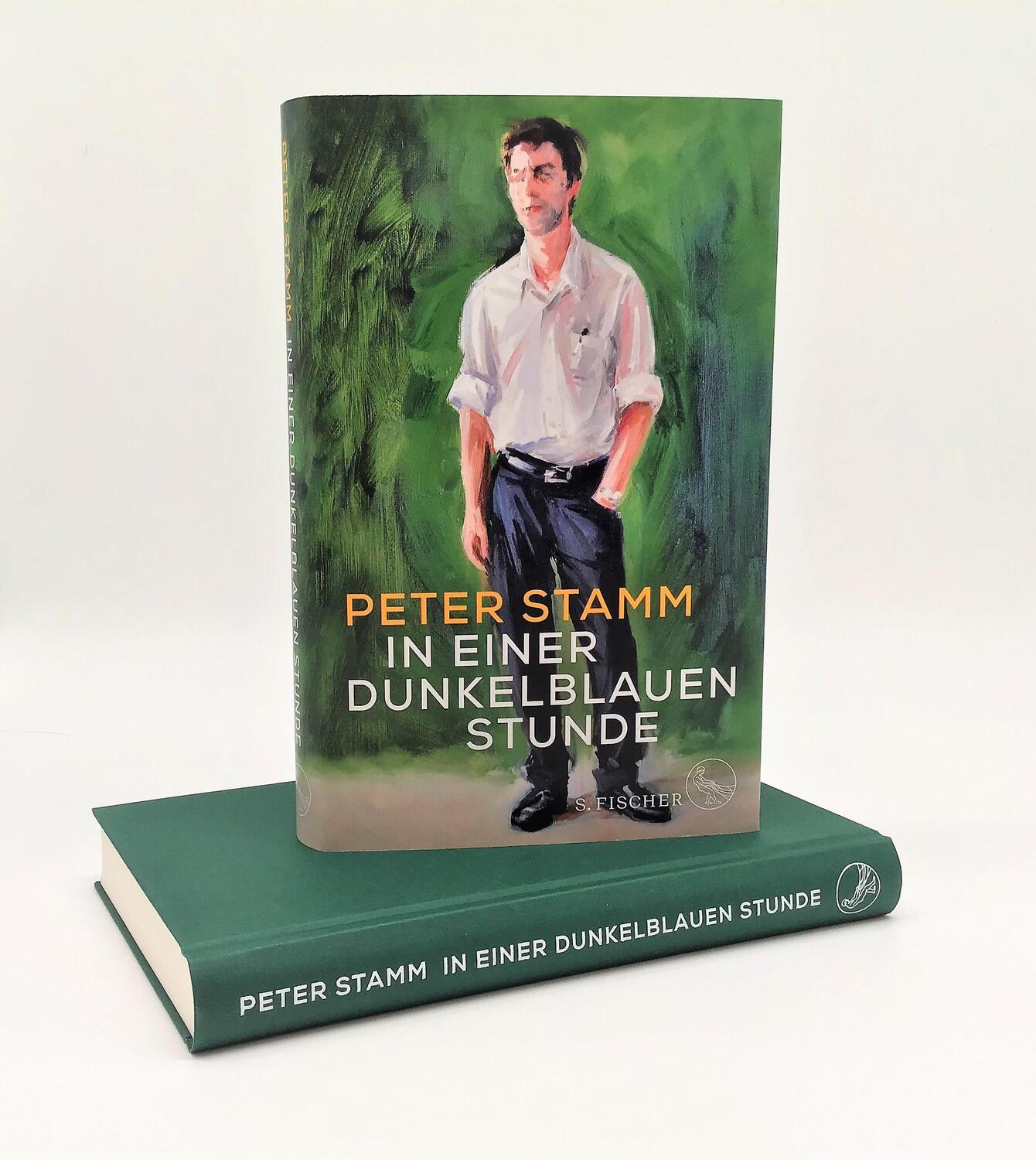 Bild: 9783103971286 | In einer dunkelblauen Stunde | Roman | Peter Stamm | Buch | 256 S.