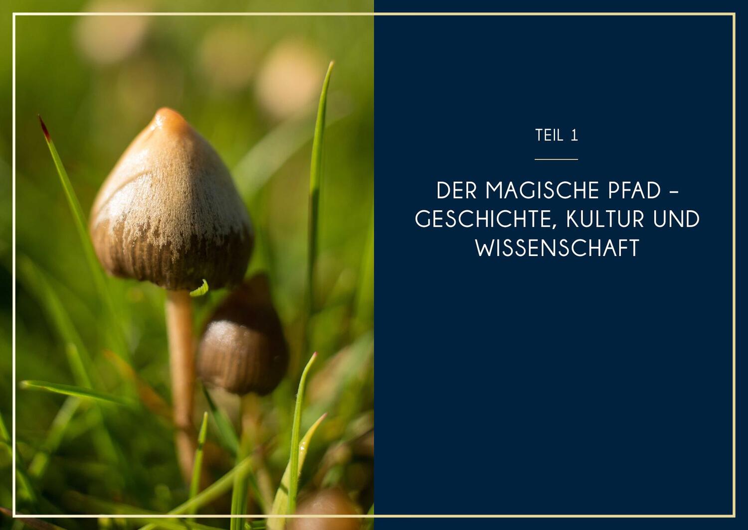 Bild: 9783742325112 | Microdosing mit Psilocybin | Philip Rebensburg (u. a.) | Taschenbuch