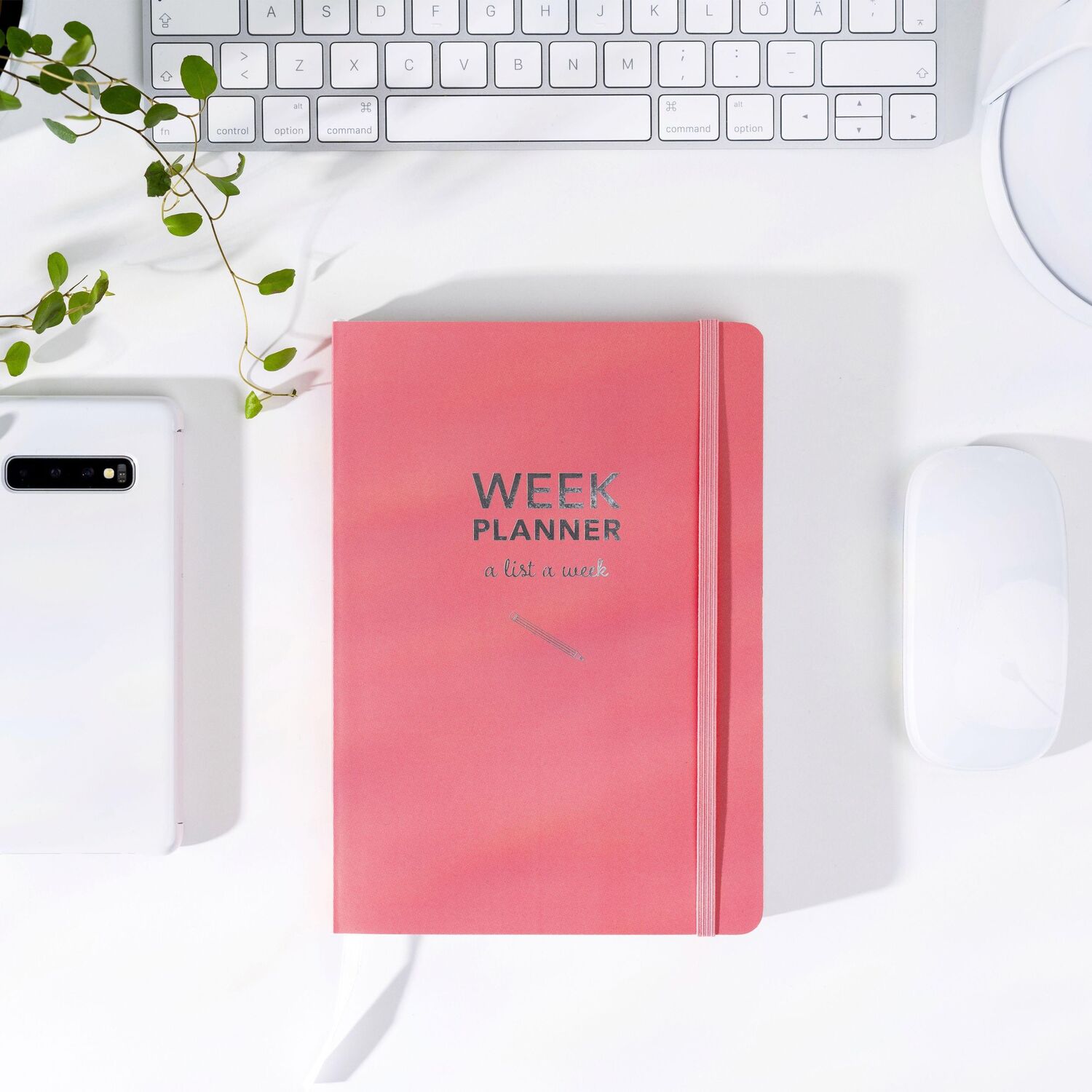 Bild: 7392620105108 | Burde Week Planner undated pink | Terminplaner Undatiert | Taschenbuch