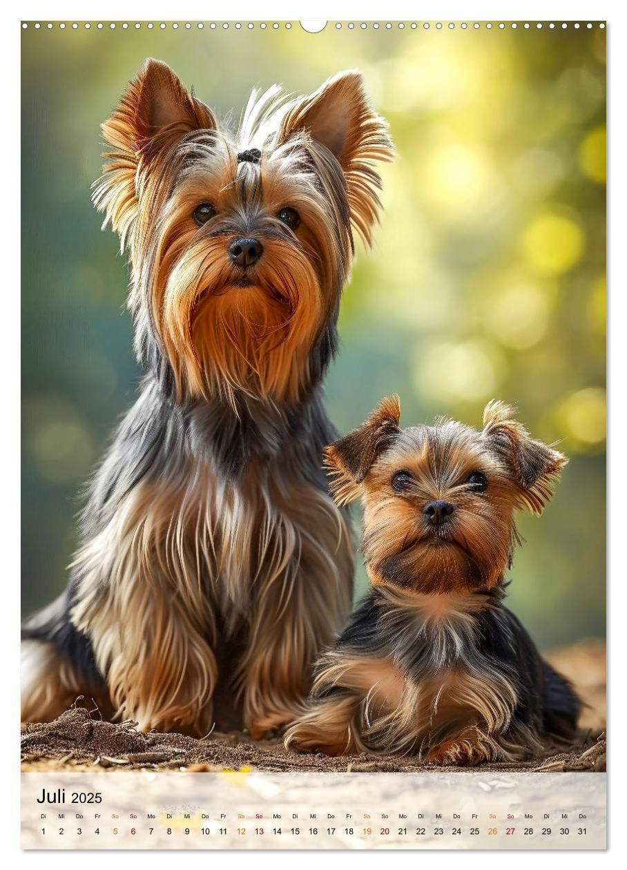 Bild: 9783383771767 | Yorkshire Terrier - ein Hund mit starkem Charakter (hochwertiger...