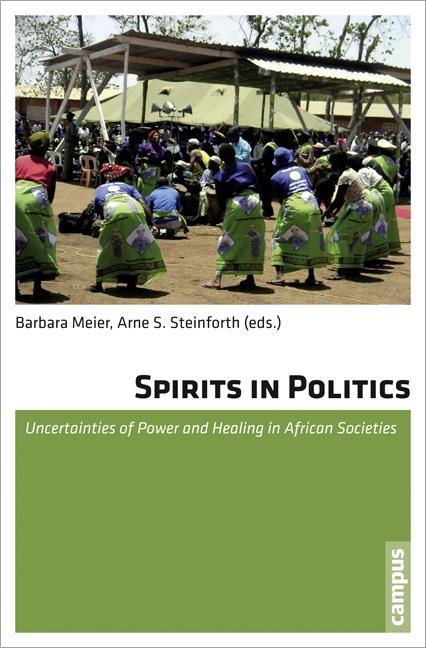 Cover: 9783593399157 | Spirits in Politics | Barbara Meier | Taschenbuch | 265 S. | Englisch