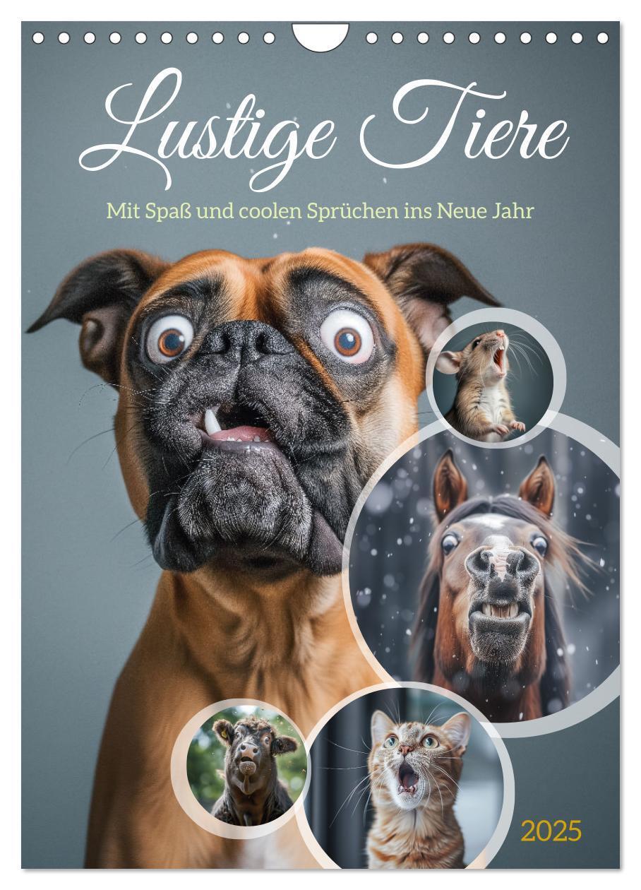 Cover: 9783383779770 | Lustige Tiere (Wandkalender 2025 DIN A4 hoch), CALVENDO Monatskalender