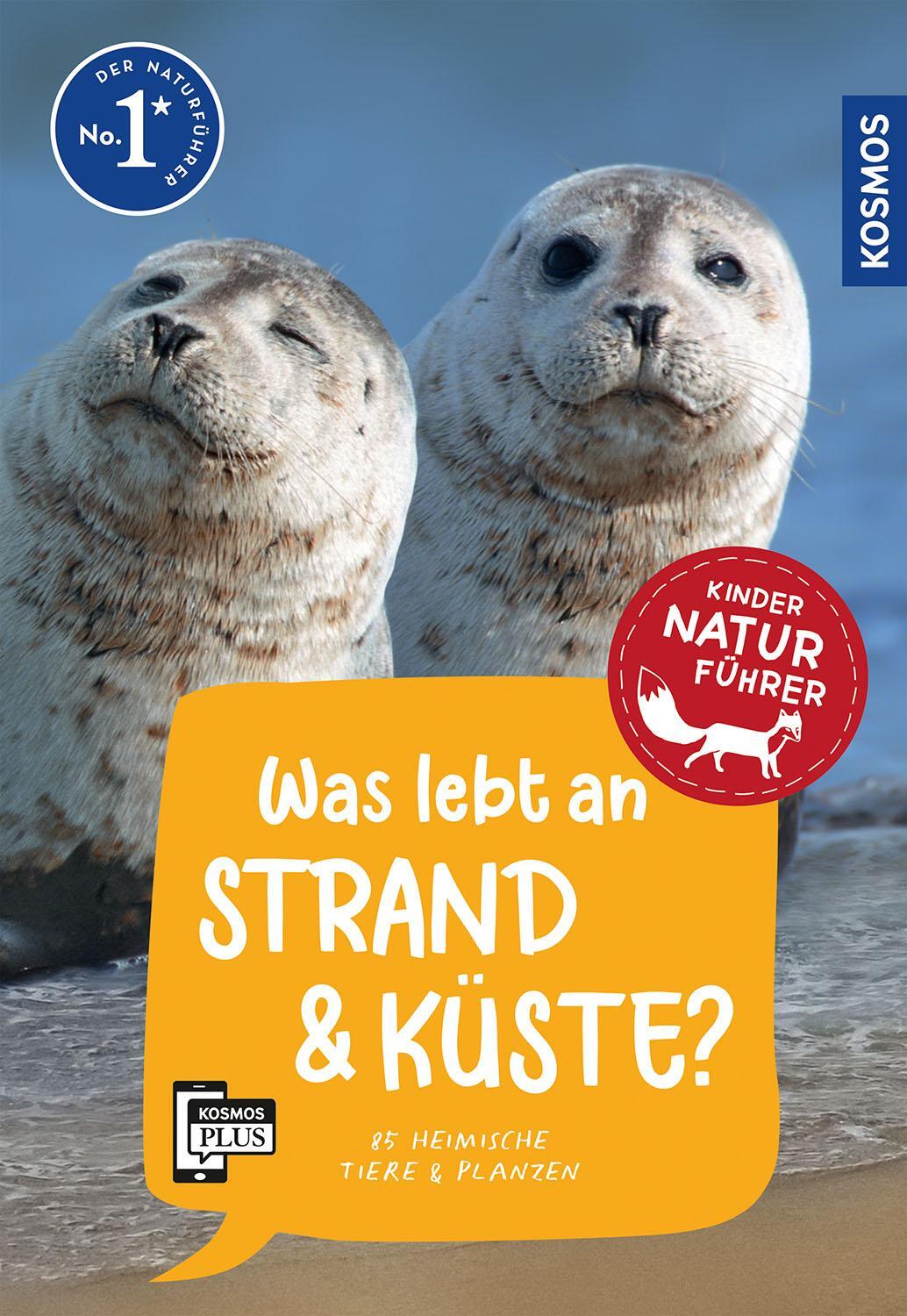 Cover: 9783440179222 | Was lebt an Strand und Küste? Kindernaturführer | Holger Haag | Buch