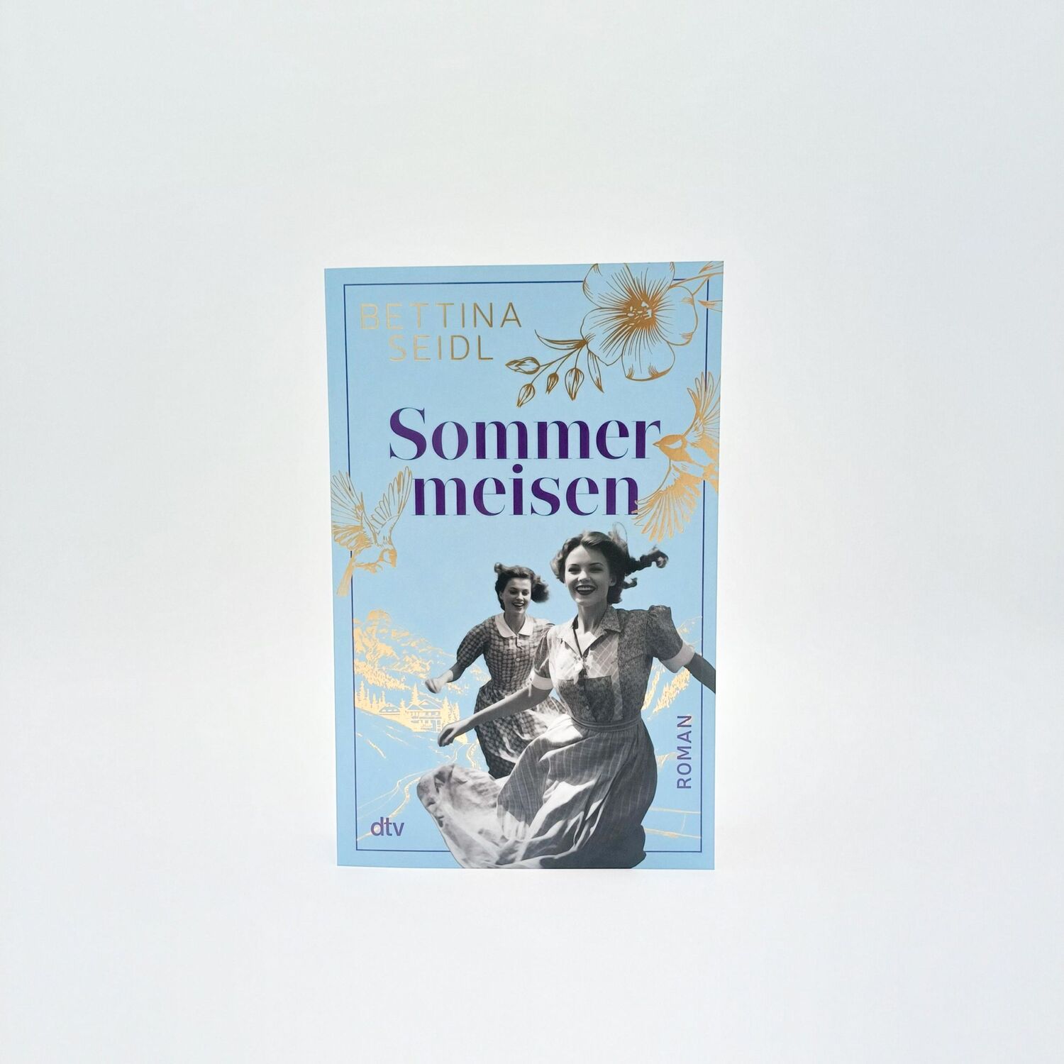 Bild: 9783423220576 | Sommermeisen | Bettina Seidl | Taschenbuch | 400 S. | Deutsch | 2024