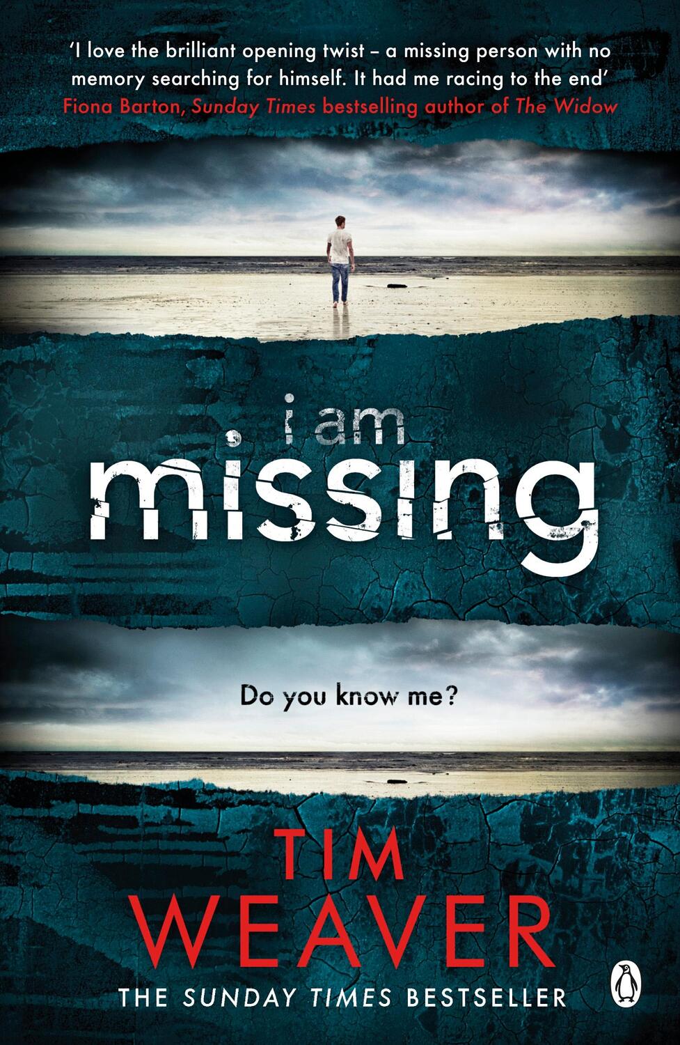 Cover: 9781405917841 | I Am Missing | Tim Weaver | Taschenbuch | David Raker Missing Persons