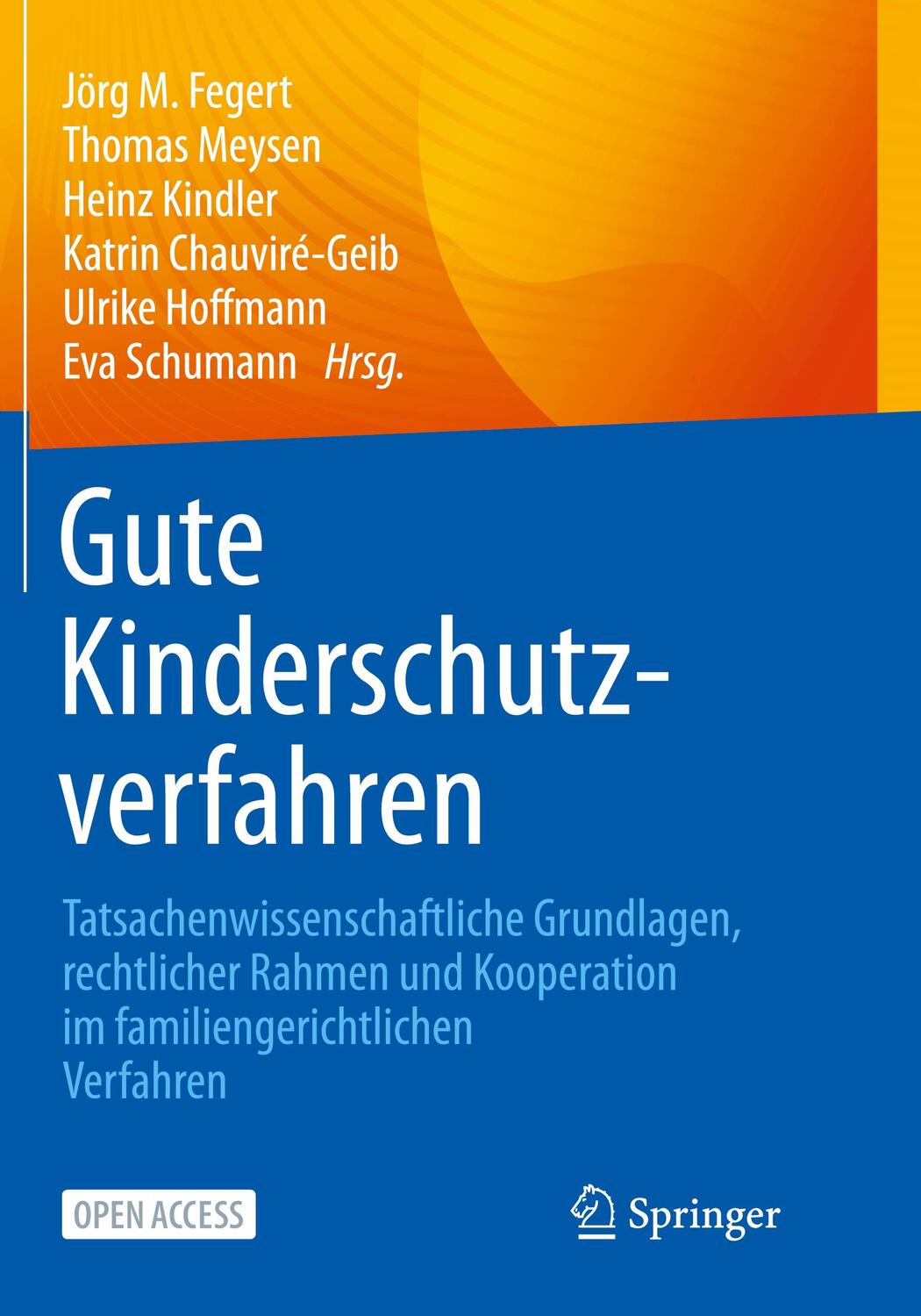 Cover: 9783662668993 | Gute Kinderschutzverfahren | Jörg M. Fegert (u. a.) | Taschenbuch